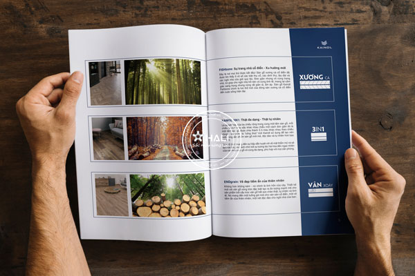 Thiết kế catalogue tại Hà Nội 05