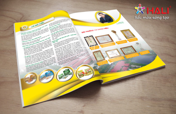 thiet ke catalogue san pham 2